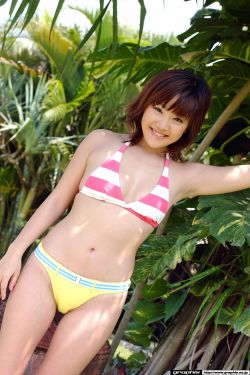 啄木鸟