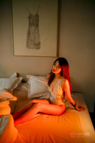 欧颜司夜辰小说免费